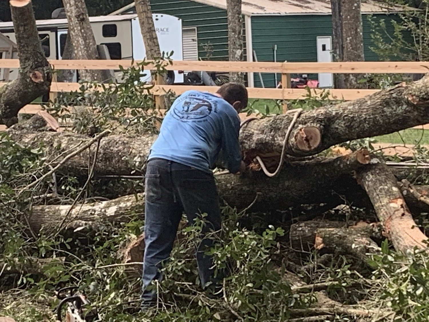Hayden's crew bucking a downed oak — company shirt, rope still on the stem