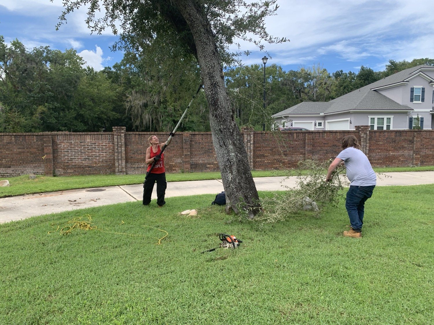 Tree Trimming